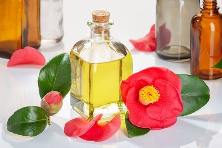 ツバキ種子油_Camellia seed oil